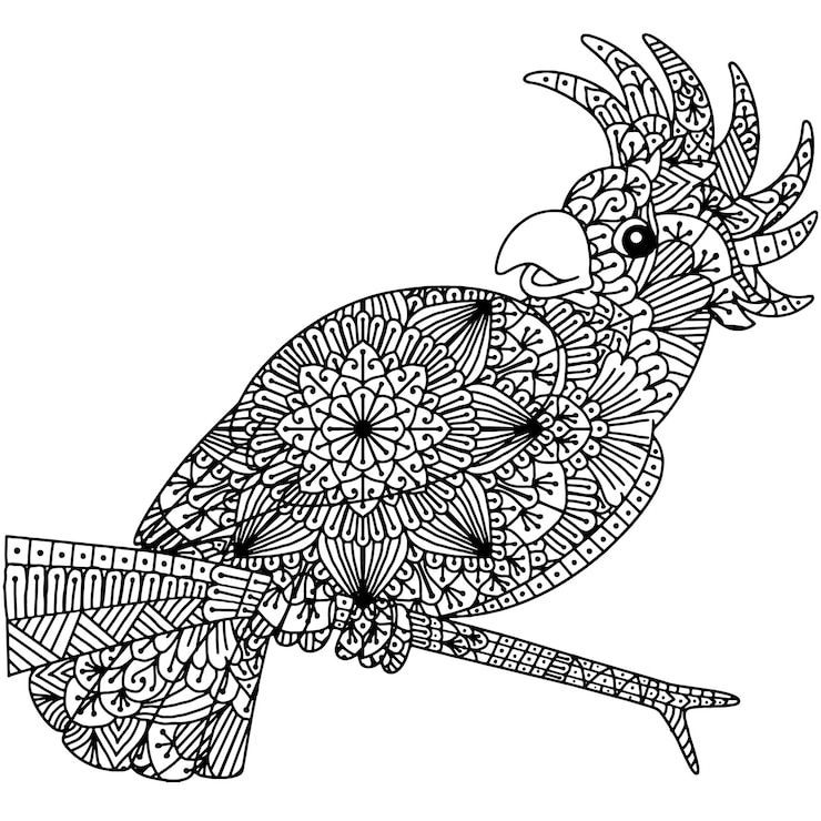 Vector cacatúas mandala página para colorear para adultos libros para colorear. animal mandala página para colorear para adultos