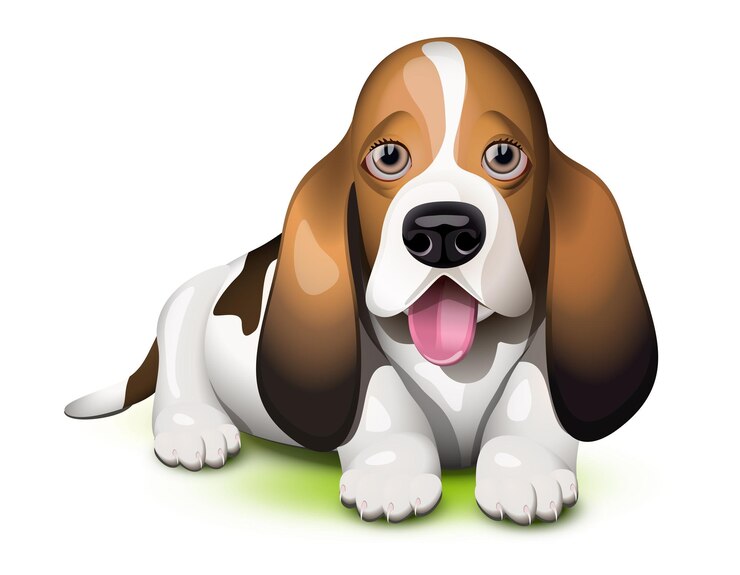 Vector cachorro basset hound sacando la lengua