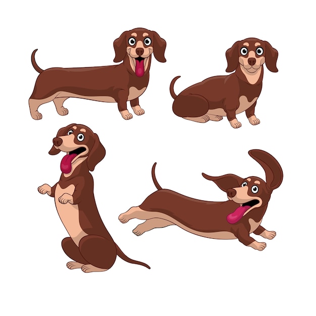 Vector cachorro de dachshund de dibujos animados en varias poses