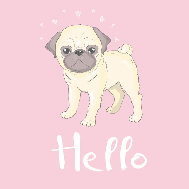 Cachorro Pug