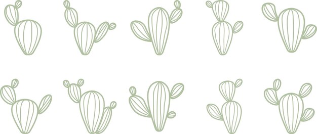Cactus abstracto bohemio