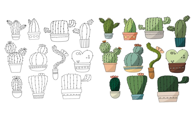 Cactus para adultos y niños libro para colorear Flat