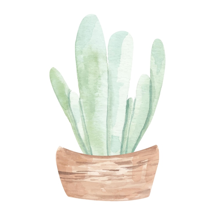 Cactus aislado sobre fondo blanco Vector acuarela dibujado a mano conjunto ilustración