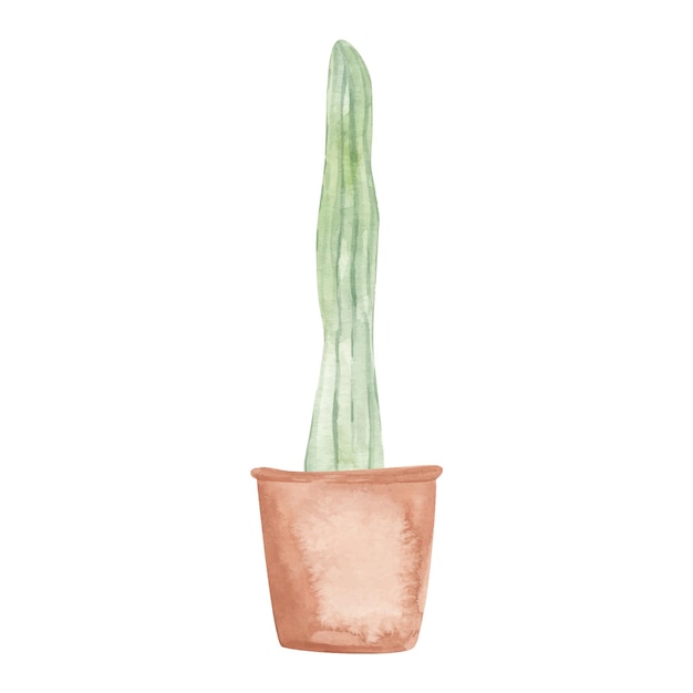 Cactus aislado sobre fondo blanco vector acuarela dibujado a mano conjunto ilustración