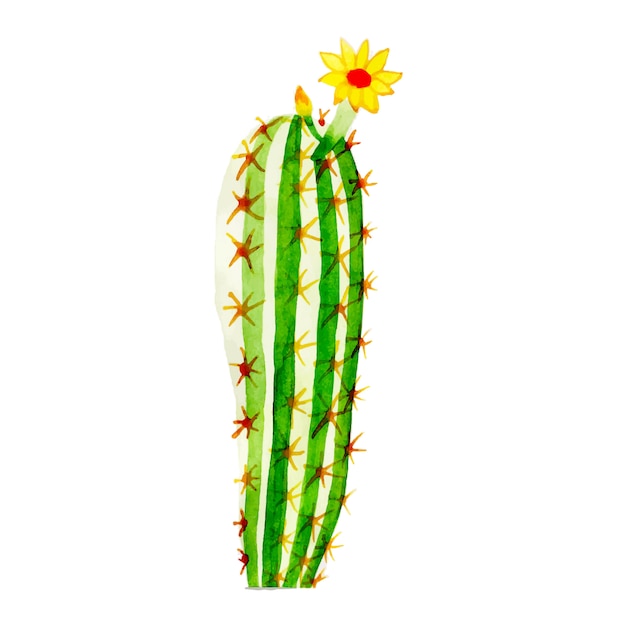 Cactus Artístico Acuarela