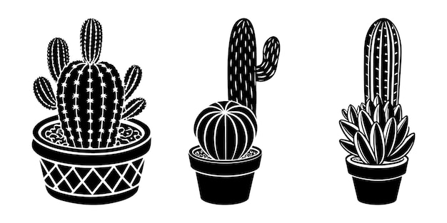 cactus y cactus en una olla con un cactus sobre él