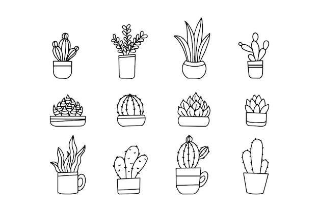 Cactus dibujados a mano en maceta aislado sobre fondo blanco. colección de diseño vectorial