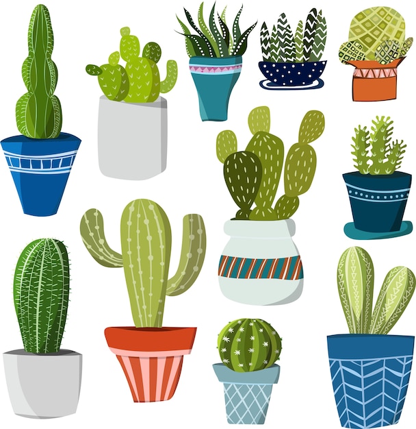 Vector cactus diferentes