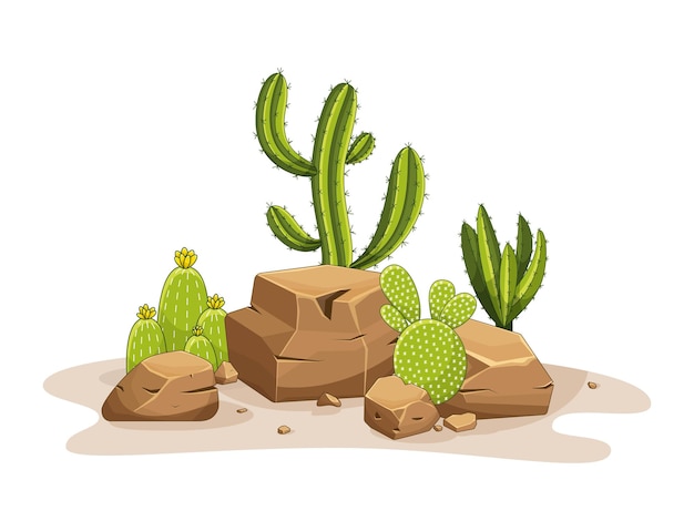 Cactus con espinas y piedras Planta verde mexicana con espinas y rocas Elemento del paisaje del desierto y del sur Ilustración de vector plano de dibujos animados Aislado sobre fondo blanco