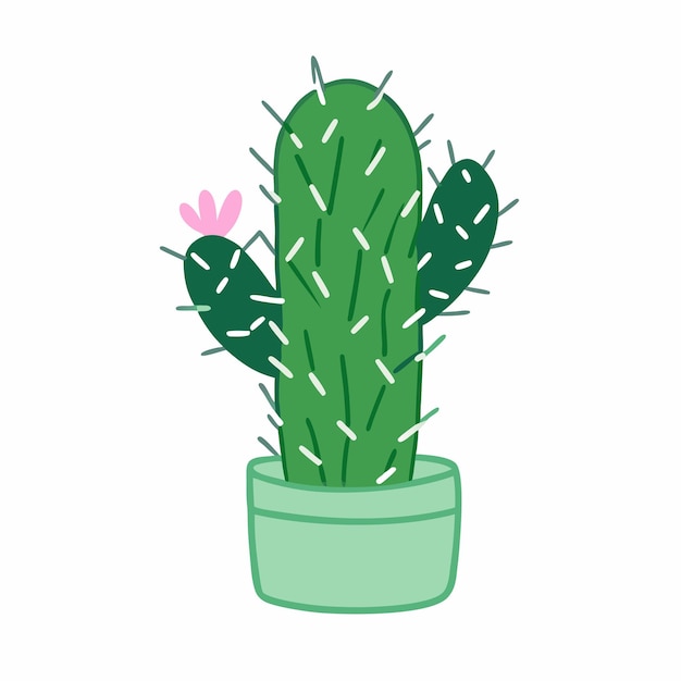 Cactus espinoso con espinas en olla Espinas y flores de cactus tropical del desierto dibujados a mano 12
