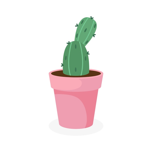 Cactus espinoso en una maceta.