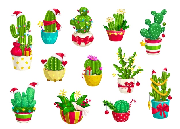 Vector los cactus espinosos de navidad y las suculentas mexicanas adornadas con adornos festivos y luces sus vibrantes flores contrastan bellamente con las decoraciones navideñas creando una exhibición estacional única