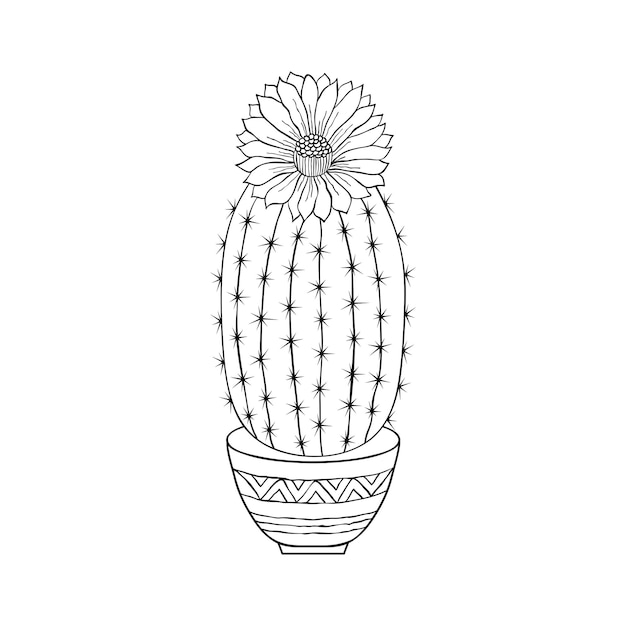 Vector cactus en estilo doodle aislado sobre fondo blanco. página para colorear para niños y adultos.