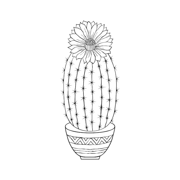 Cactus en estilo garabato aislado sobre fondo blanco. Página para colorear para niños y adultos.