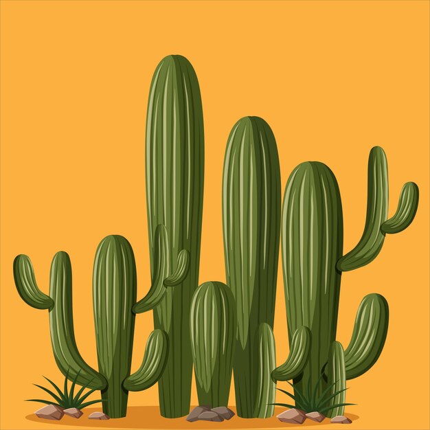 Vector cactus extraño 05
