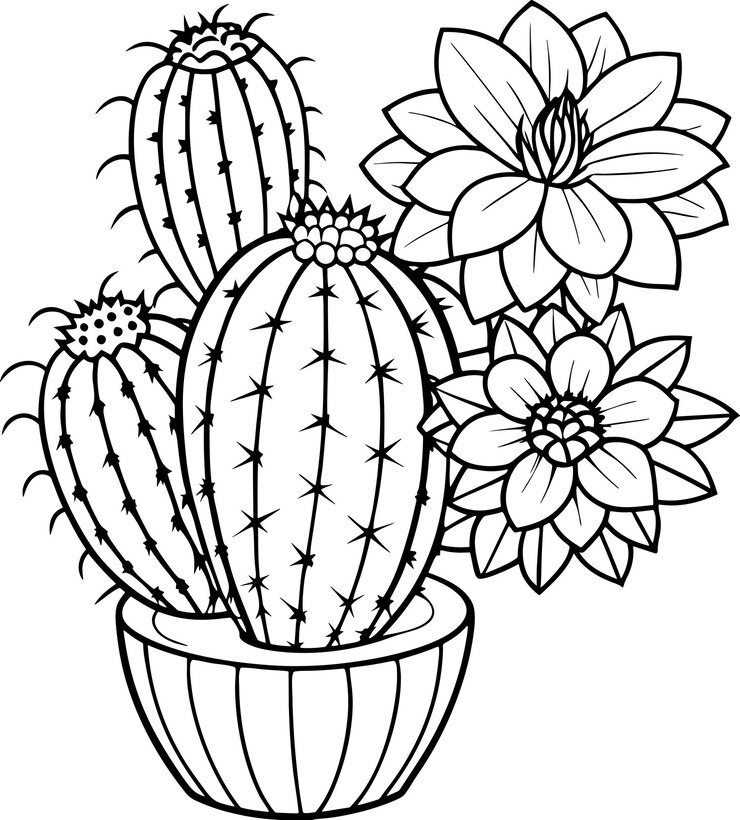 Cactus en flor con picos Página para colorear para niños y adultos