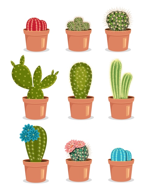 Cactus floreciente cactus con flor cactus en maceta conjunto de ilustración de icono de cactus de color