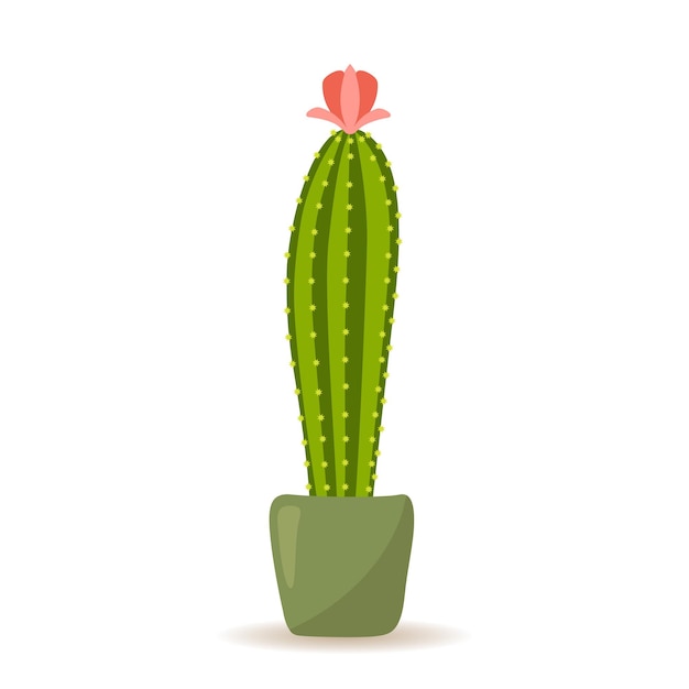 Cactus floreciente en estilo de dibujos animados