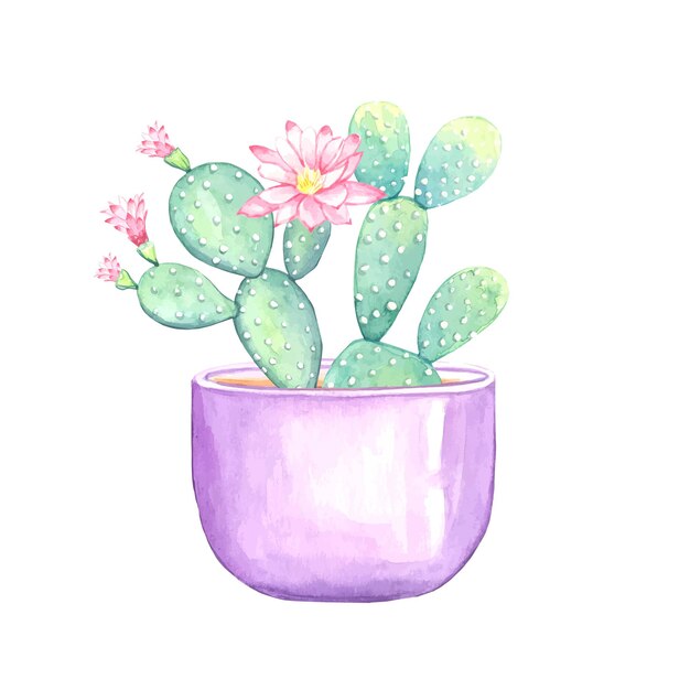 Cactus floreciente en una ilustración de acuarela de maceta