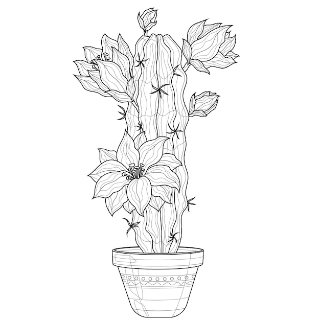 Cactus floreciente en una olla. libro de colorear antiestrés para niños y adultos. ilustración aislada sobre fondo blanco estilo zen-enredo. dibujo en blanco y negro dibujado a mano