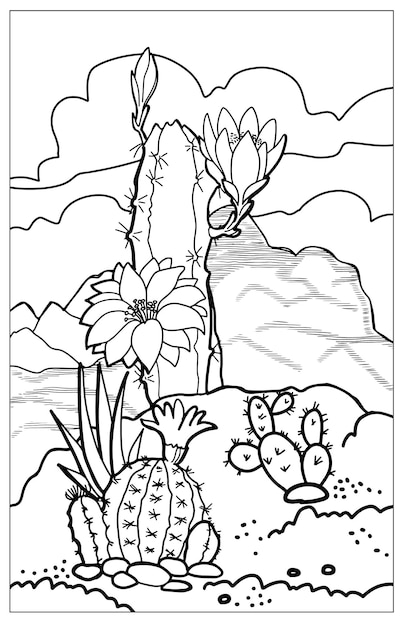 Cactus florecientes en el desierto Paisaje de Arizona Libro para colorear antiestrés para niños y adultos