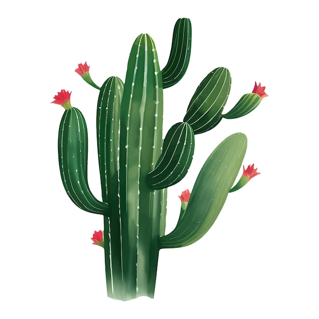 Cactus con flores aisladas Ilustración detallada de pintura dibujada a mano