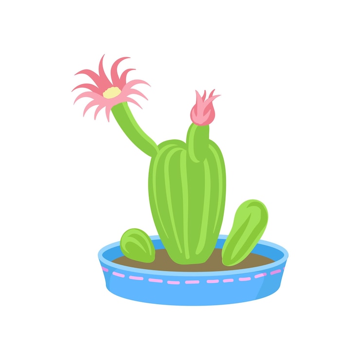 Vector cactus con flores rosas casa planta en un vector de dibujos animados de maceta ilustración sobre un fondo blanco