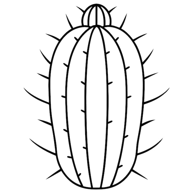 un cactus con un fondo blanco que dice cactus