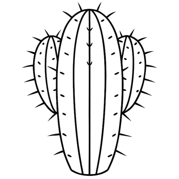 un cactus con un fondo blanco que dice cactus