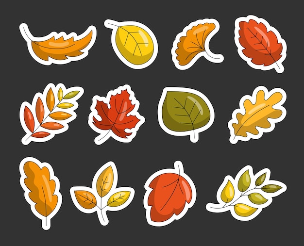 Cactus gracioso Página para colorear Caracteres carones sonrientes dibujados a mano Dibujo vectorial