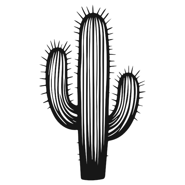 Vector cactus_h (en inglés)