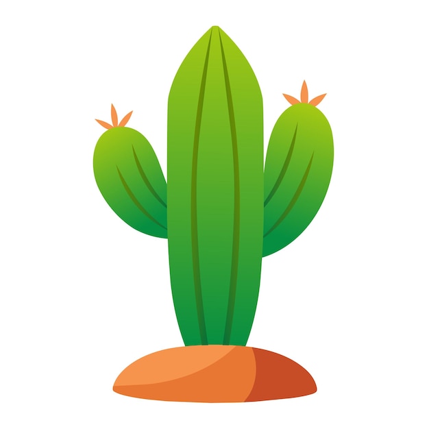 un cactus con una hoja verde en él