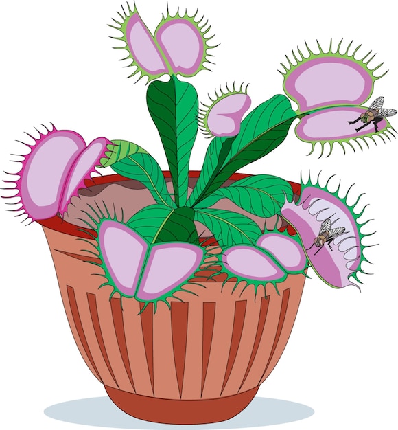 cactus en una ilustración de vector de olla