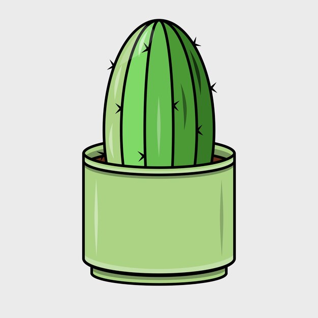 Cactus de interior