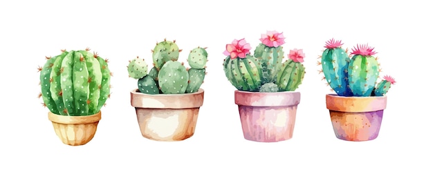 Cactus en maceta acuarela aislado sobre fondo blanco Conjunto de vegetación cactus flor planta pintura vector ilustración