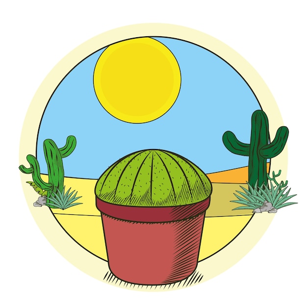 Cactus en maceta en el desierto