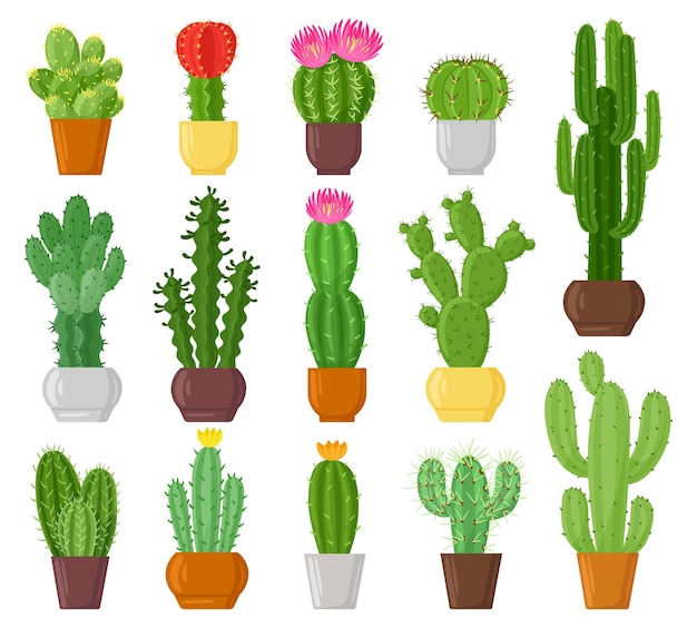 Cactus en macetas de dibujos animados, plantas del desierto, cactus y suculentas. plantas en macetas de interior, conjunto de ilustración de vector de flores de cactus verde botánico. cactus en macetas, flores de cactus de naturaleza de dibujos animados