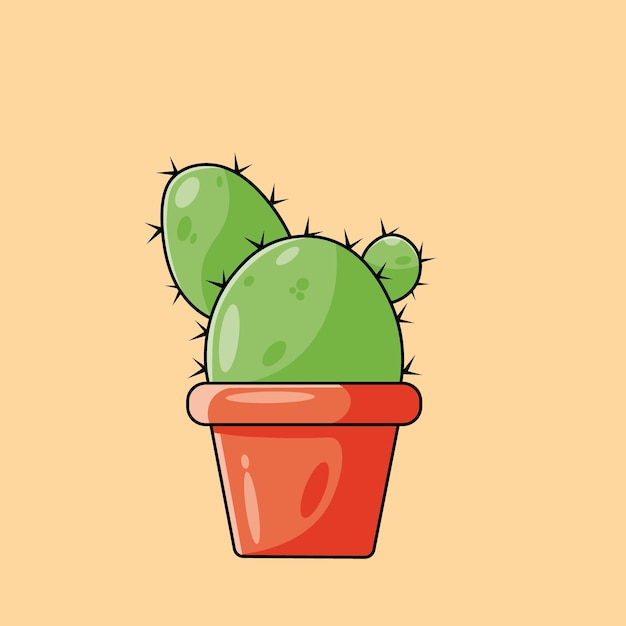 Cactus y otras plantas