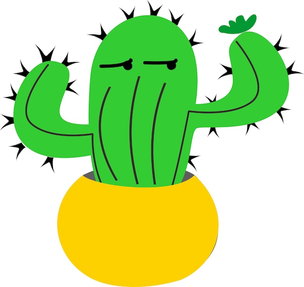 Cactus y otras plantas