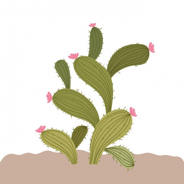 Vector cactus en paisaje aislado