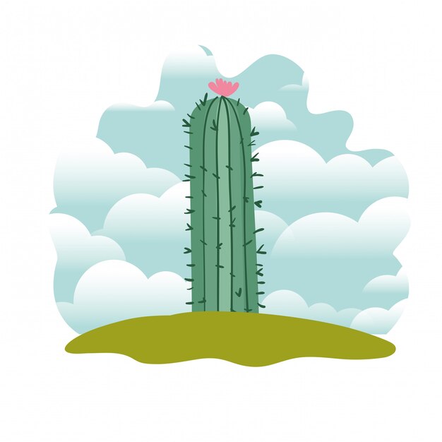 Cactus en paisaje aislado