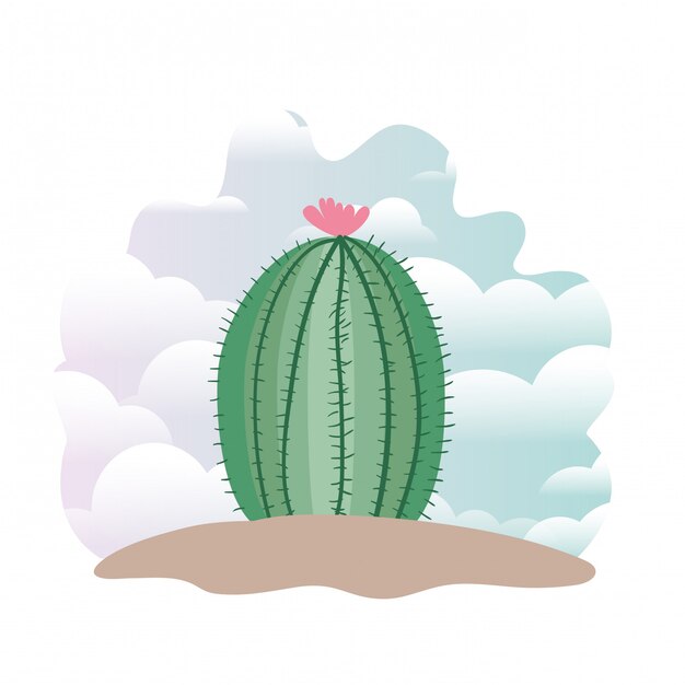 Cactus en paisaje aislado