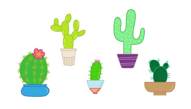 cactus pegatinas