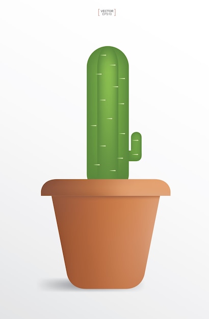 Cactus - planta de decoración en maceta.