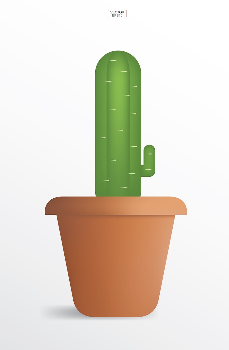 Vector cactus - planta de decoración en maceta.