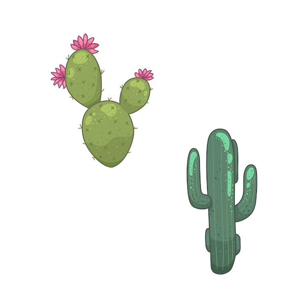 Cactus y plantas suculentas iconos vectoriales en estilo de dibujos animados Plantas caseras cactus aislados sobre fondo blanco