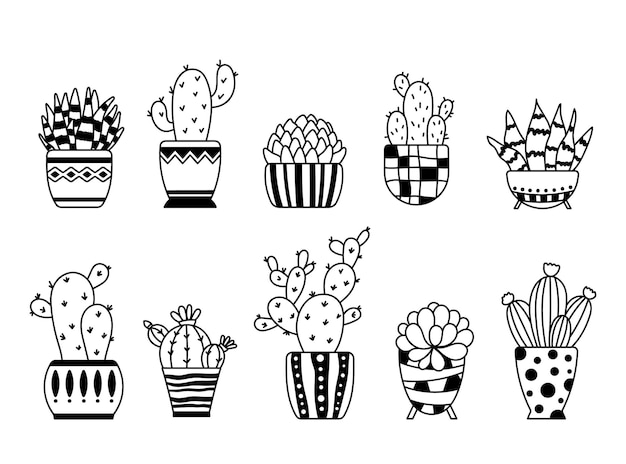 Vector cactus y suculentas boho aislado clipart cactus en maceta gráfico vectorial plantas de la casa en macetas