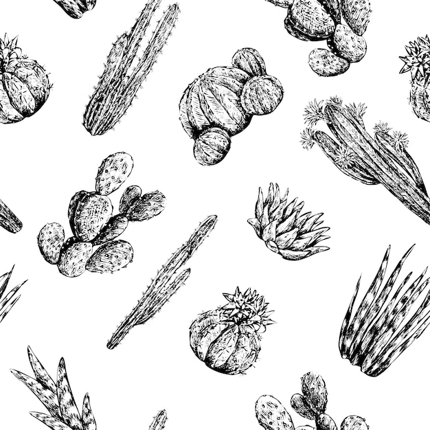 Cactus y suculentas dibujado a mano vector de patrones sin fisuras. Bocetos en tinta de diferentes plantas del desierto. Ornamento botánico abstracto. Diseño de fondo, papel tapiz, textil, tela.