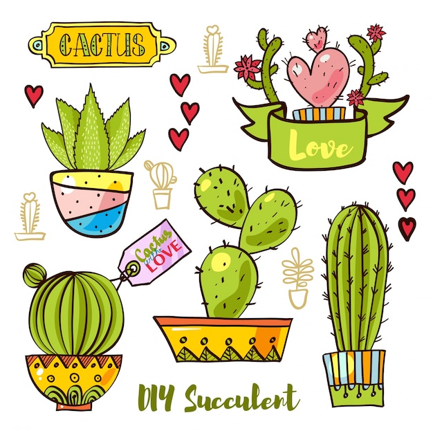 Vector cactus y suculentas en macetas.