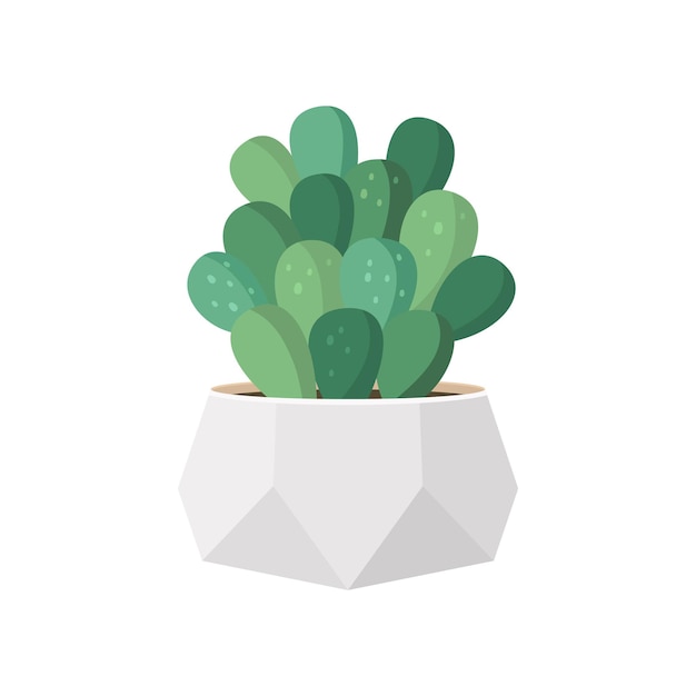Cactus y suculento en olla ilustraciones vectoriales de dibujos animados de colores domésticos